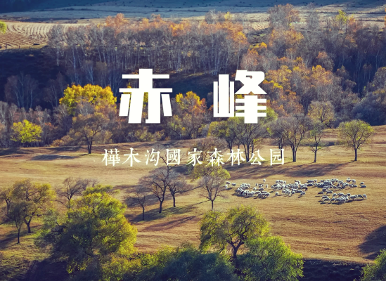 赤峰植物園美食團(tuán)購電話號碼-第1張圖片