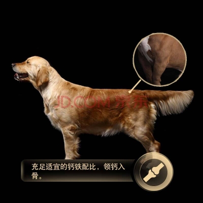 赤峰市配送狗糧電話地址查詢-第1張圖片