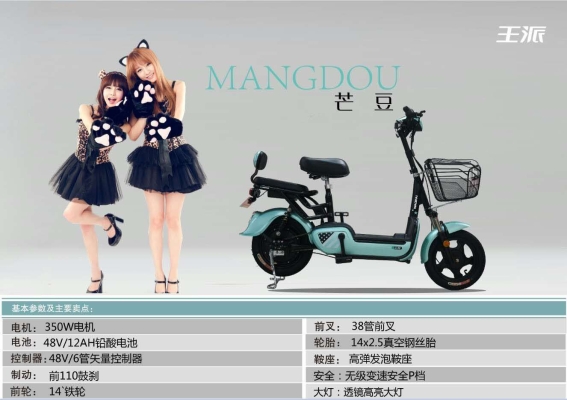 赤峰王派電動(dòng)車售后電話號(hào)碼-第1張圖片