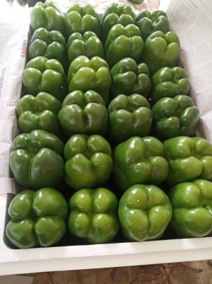 赤峰春麗超市電話號(hào)碼查詢-第1張圖片