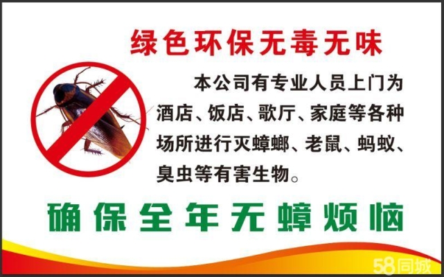 赤峰市滅老鼠電話多少啊-第1張圖片