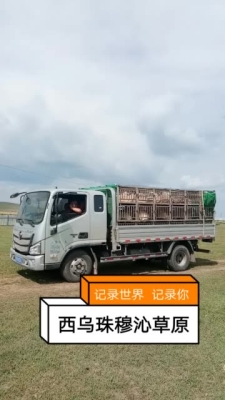 赤峰羊羔火鍋店電話號碼多少-第1張圖片