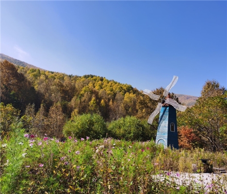 赤峰倒須溝景區(qū)電話號碼是多少-第1張圖片