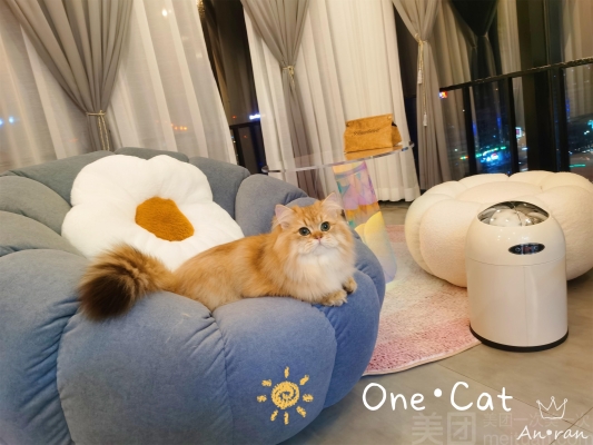 赤峰貓咪洗護(hù)中心電話號(hào)碼查詢-第1張圖片