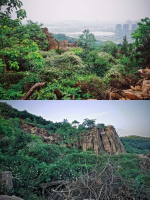 赤峰交友脫單平臺(tái)官網(wǎng)電話號(hào)碼-第1張圖片