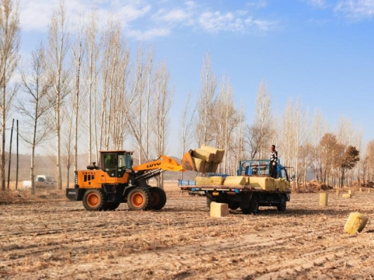 赤峰稻草批發(fā)電話號(hào)碼查詢是多少-第1張圖片
