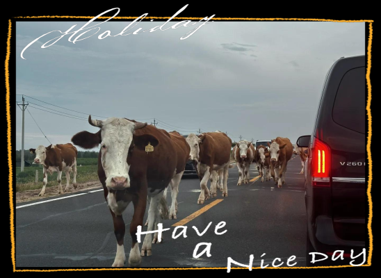 赤峰玉龍重機廠電話號碼查詢-第1張圖片