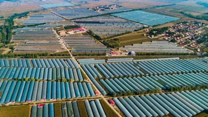 赤峰豆腐渣廠老板的電話是多少-第1張圖片