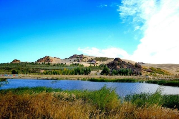 赤峰市手扒肉店地址電話號碼-第1張圖片