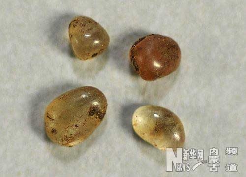 赤峰市賣紐扣的地方電話號(hào)碼-第1張圖片