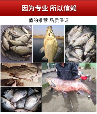 赤峰蚯蚓餌料批發(fā)市場(chǎng)電話號(hào)碼-第1張圖片