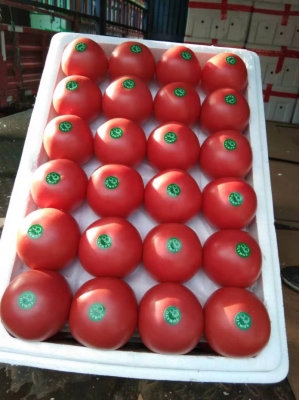 赤峰陳糧批發(fā)電話是多少號-第1張圖片