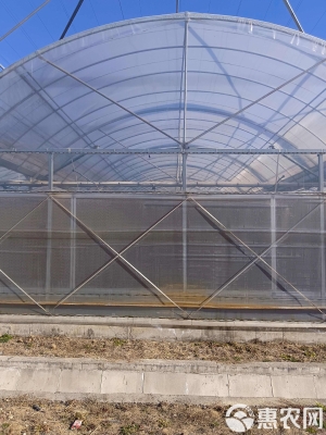 赤峰連棟大棚管廠家電話號(hào)碼-第1張圖片