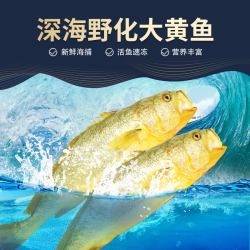 赤峰賣大黃魚的地方電話號碼-第1張圖片