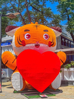 赤峰市丫丫寵物醫(yī)院電話號碼-第1張圖片