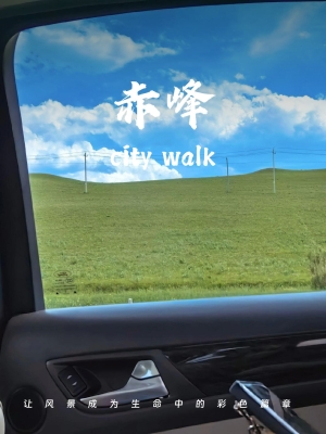 赤峰市敖漢旗玩具店電話號碼-第1張圖片