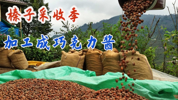 赤峰果仁加工廠家電話號(hào)碼-第1張圖片