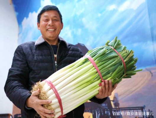 赤峰老楊大蔥批發(fā)電話是多少號(hào)-第1張圖片