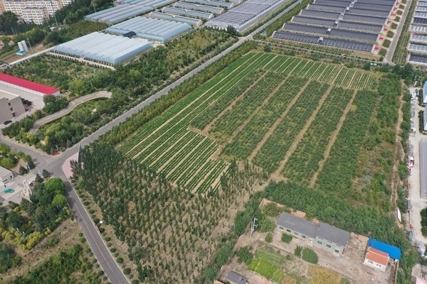 元寶山百卉園飯店圖片-第1張圖片