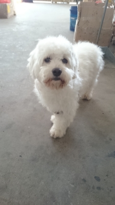 松獅美容赤峰店電話多少號(hào)-第1張圖片