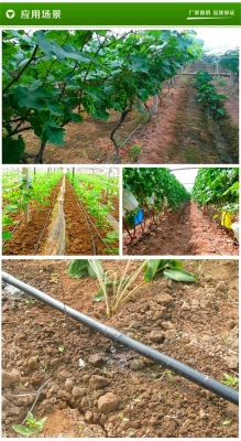 赤峰市里滴灌帶廠家電話號(hào)碼-第1張圖片