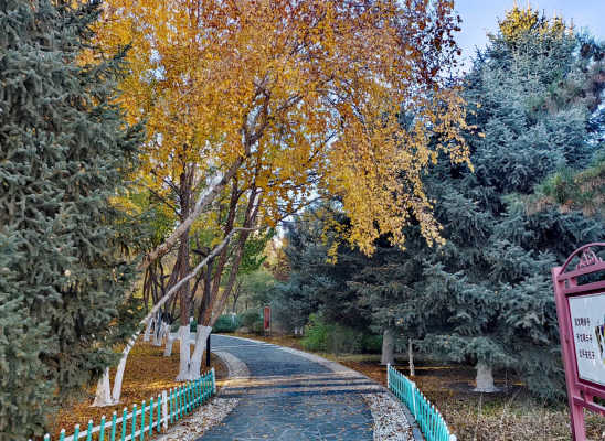 赤峰市全寧街車檢電話號碼-第1張圖片