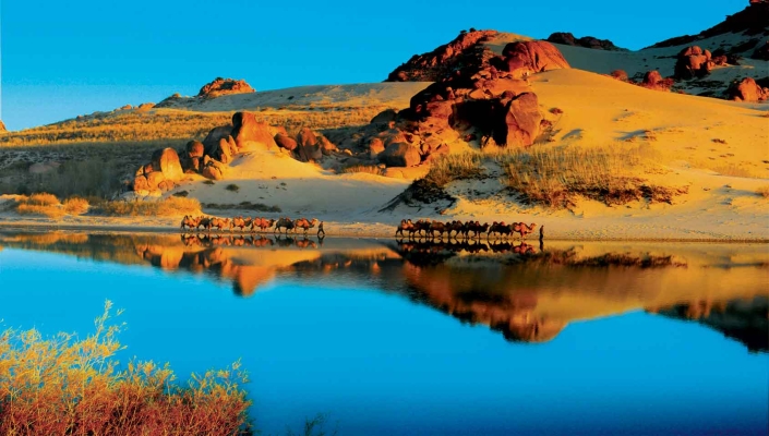 赤峰七彩城玉龍童年電話號(hào)碼-第1張圖片