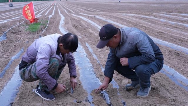 赤峰虹凱雜糧店電話號碼查詢-第1張圖片