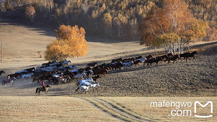 赤峰交響樂(lè)劇場(chǎng)官網(wǎng)電話號(hào)碼-第1張圖片