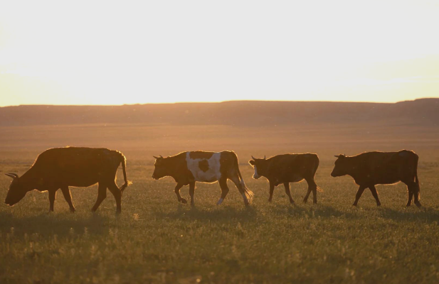 赤峰紅山蠟像館電話號碼多少-第1張圖片