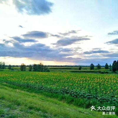 赤峰小綠包尋人電話號碼查詢-第1張圖片