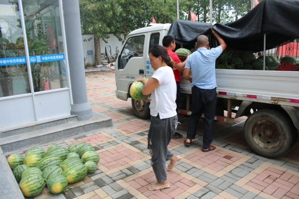 赤峰地區(qū)西瓜批發(fā)市場電話號碼-第1張圖片