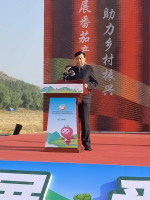 赤峰錦山裝潢公司地址電話號(hào)碼-第1張圖片