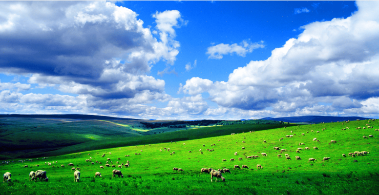 赤峰澳亞八廠地址電話號(hào)碼-第1張圖片