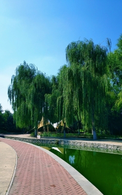 內(nèi)蒙古赤峰吉泰物業(yè)電話號碼-第1張圖片