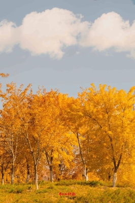 赤峰心情驛站電話號(hào)碼查詢地址-第1張圖片