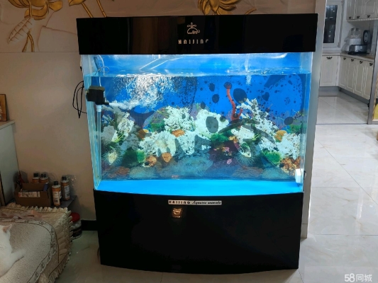 赤峰免費送魚缸電話是多少號-第1張圖片