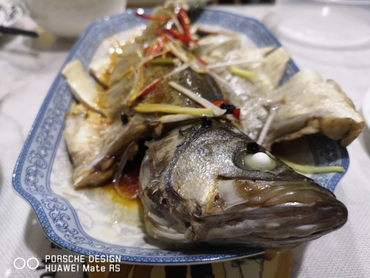 赤峰石斑魚飯店電話多少號(hào)-第1張圖片