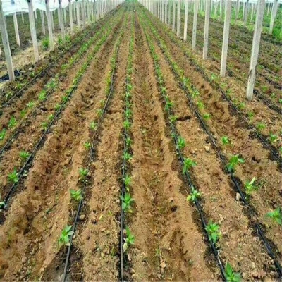 赤峰四寸施肥管廠家電話號(hào)碼-第1張圖片