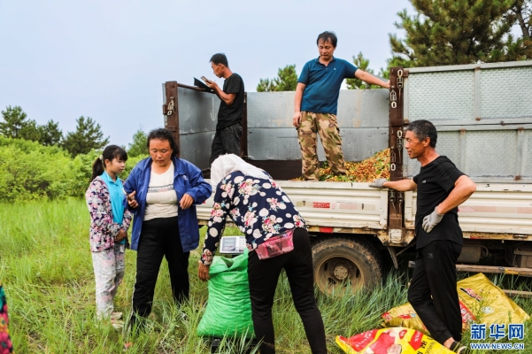 敖漢旗變電所電話-第1張圖片
