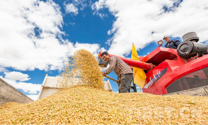 赤峰老劉頭采摘園電話多少號-第1張圖片