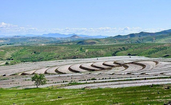 赤峰林西縣安踏店電話號碼-第1張圖片