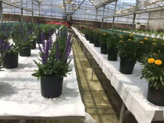 赤峰市橋頭動物園電話號碼-第1張圖片