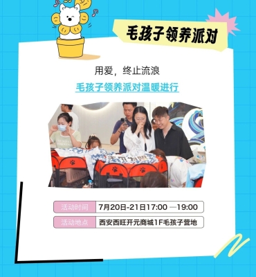 赤峰市領(lǐng)養(yǎng)貓貓電話地址查詢-第1張圖片