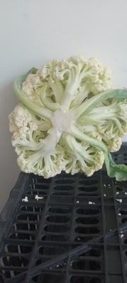 赤峰樂緣超市電話號(hào)碼查詢-第1張圖片