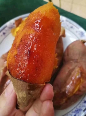 赤峰煙薯25號批發(fā)電話號碼-第1張圖片