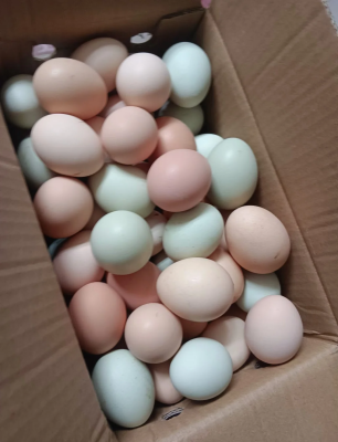 赤峰賣土雞蛋的電話號碼是多少-第1張圖片