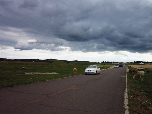 赤峰元寶山申通快遞-第1張圖片