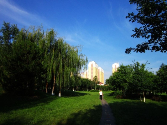 赤峰市新城區(qū)網(wǎng)吧-第1張圖片