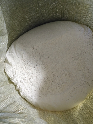 赤峰食用菌石膏廠家電話號(hào)碼-第1張圖片